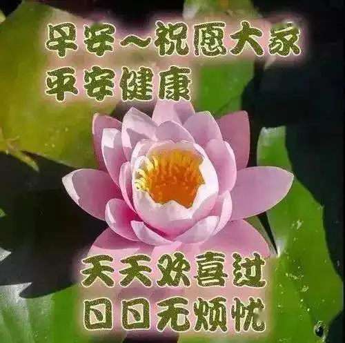 清晨精美的早上好问候祝福图片2020新早上好问候表情祝福图片
