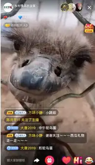 没有偶像包袱的帆哥好嗨呦在六千万打造的四千亩农业大观园里放飞自我
