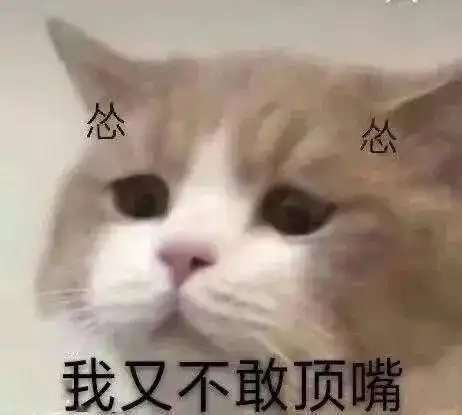 他勾引我
