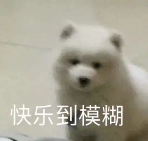 祝我生日快乐,牛宝生日快乐,edg战队主题日快乐疑似,娱...
