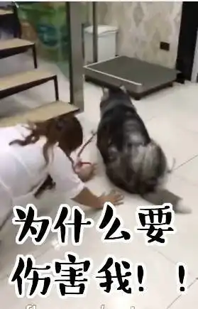 1个国庆5种度假方式这是不是放假中的你
