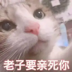 跟对象撒娇,这100张表情最好用
