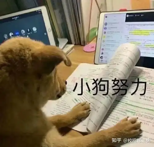 2021年3月份校招企业推荐0107日
