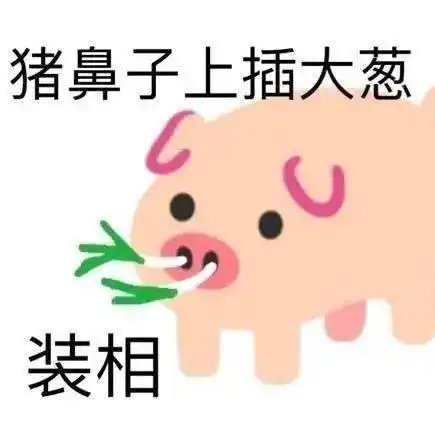 歇后语表情包真是王八买西瓜
