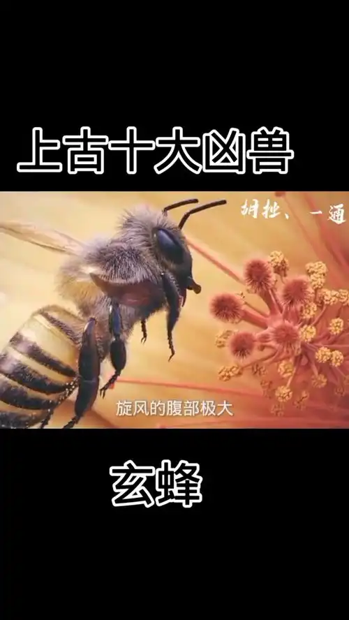 上古十大凶兽玄蜂
