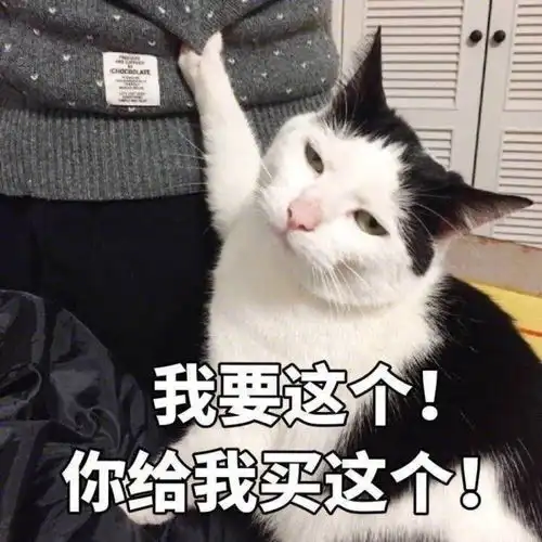 沙雕表情包l早上好读书人
