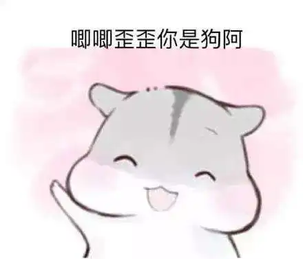 抖音小仓鼠高清无水印表情包合集超萌
