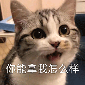 表情包制作丨我不喜欢恋爱的酸臭
