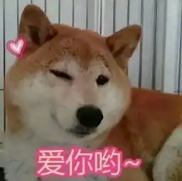 表情包不要勾引我了,我没钱
