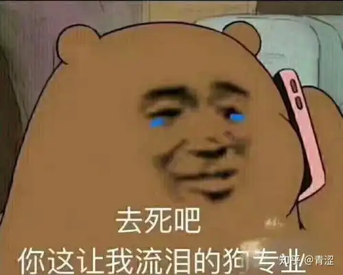 你有哪些有趣的表情包
