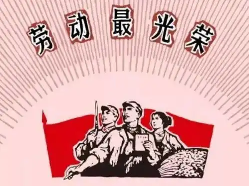 回望五月愿美好长存
