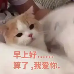 斗图表情包我有你吃饭的照片
