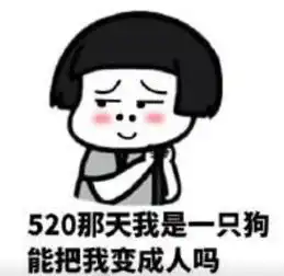 520单身狗表情包,你有520我有502,不是很甜但很黏
