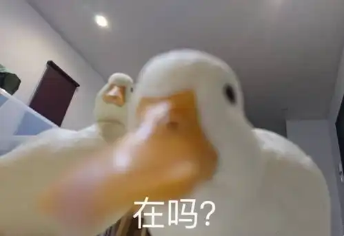 求对话开场表情包

